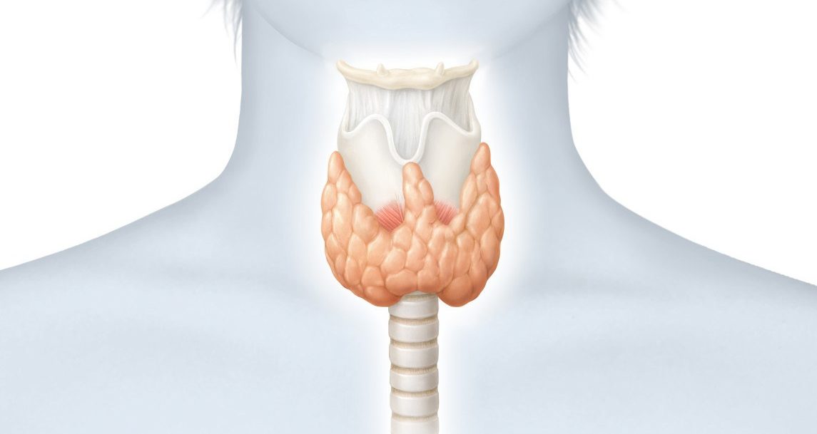 Лечение диффузного токсического зоба щитовидной железы